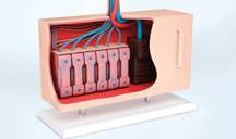 找渠道免费ddos在线攻击